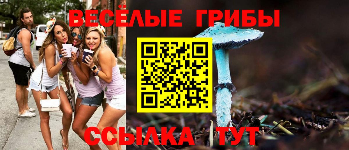 Железногорск  Галлюциногенные грибы Psilocybe  Вход с VPN 